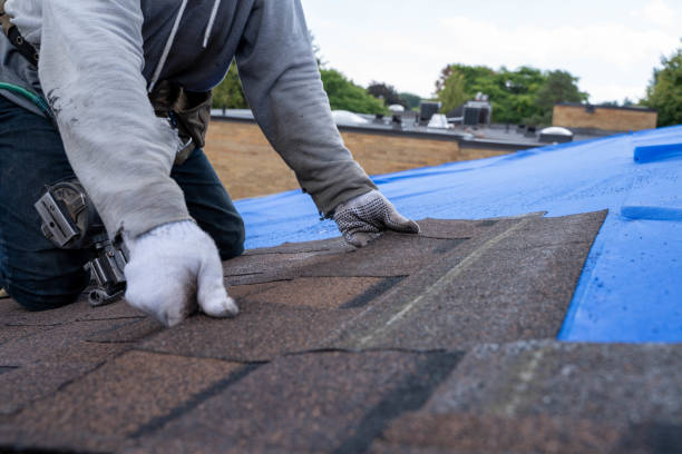 Professional Roofing Contractor in Homewood, IL