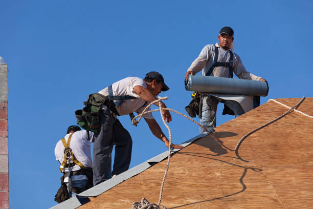 Best Commercial Roofing Services  in Homewood, IL